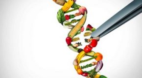 Nouveaux OGM – Étiquetés, mais pas évalués