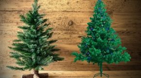 Sapin naturel ou sapin artificiel – Lequel a le plus faible impact carbone ?