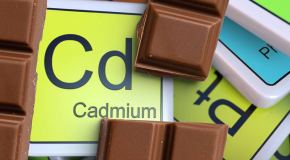 Cadmium dans le chocolat – Une contamination bien réelle
