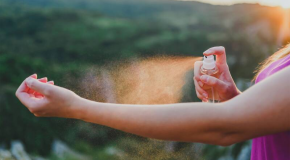 Antimoustiques – Que valent les répulsifs naturels ?