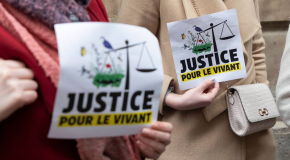 Pesticides – La justice ordonne à l’État de renforcer ses évaluations