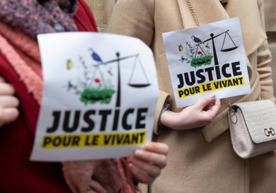 Pesticides – La justice ordonne à l’État de renforcer ses évaluations