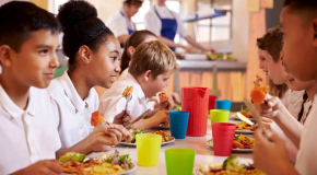Pollution au mercure – Huit villes bannissent le thon des cantines scolaires
