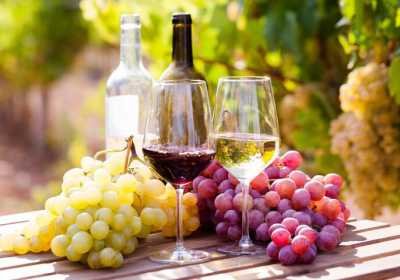 Vin rouge et vin blanc : du raisin, mais pas que…
