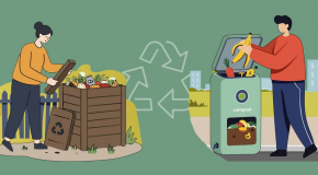 Biodéchets (infographie) : toujours pas de solution de tri à la source pour la moitié des collectivités