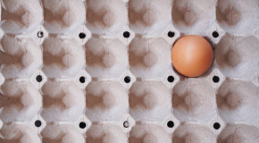 Pénurie d’œufs : la production peine à répondre à l’appétit des Français