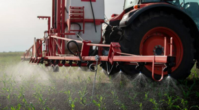 Pesticides : la Commission européenne propose de supprimer leur réévaluation