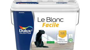 Allégation environnementale – Le biosourcé selon Dulux Valentine, de la poudre aux yeux ?