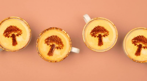 Cafés aux champignons – Vraiment bons pour la santé ?
