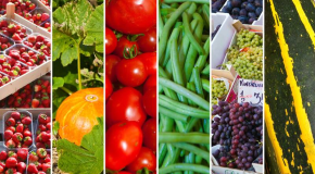 Pesticides interdits dans l’Union européenne – Les aliments importés dans le viseur du gouvernement