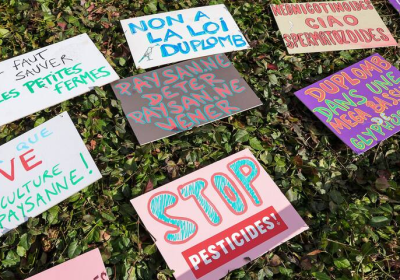 Loi Duplomb – Un débat, quelques attentes et beaucoup de déception