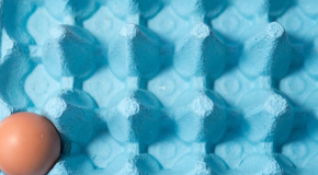 Œufs (vidéo) – Les raisons d’une pénurie