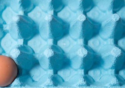 Œufs (vidéo) – Les raisons d’une pénurie