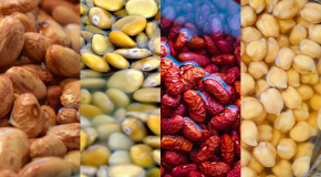 Légumineuses – Une préparation longue, mais indispensable