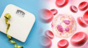 Perte de poids – Comment le système immunitaire nous empêche de brûler les graisses