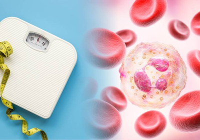 Perte de poids – Comment le système immunitaire nous empêche de brûler les graisses