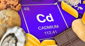 Cadmium – Que peut-on encore manger ?