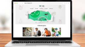 Arnaque à la vente de vélo – Derrière Velogreen.fr, un faux site qui fait de vraies victimes